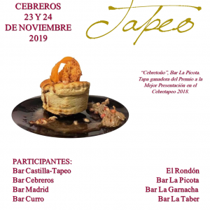 Viii concurso cebretapeo1