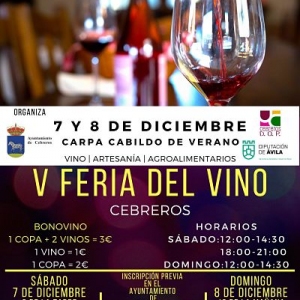 V feria del vino_opt1