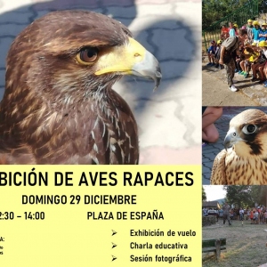 Exhibicion de aves rapaces1