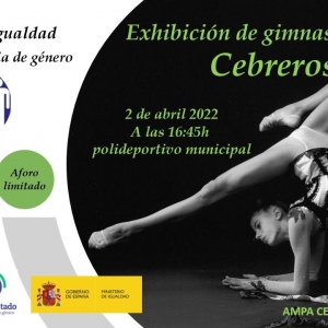 Exhibicion gimnasia ritmica igualdad1