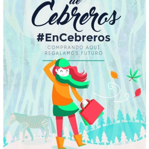 Comercio de cebreros1