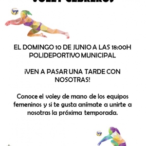 Voley1