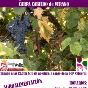 Iv feria de vinos diputacion1