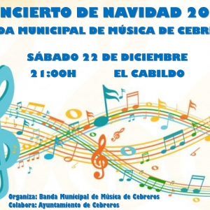 Concierto de navidad 2018 0011