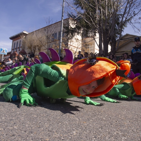 Iguanas