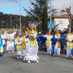 Desfile Carnaval 2015